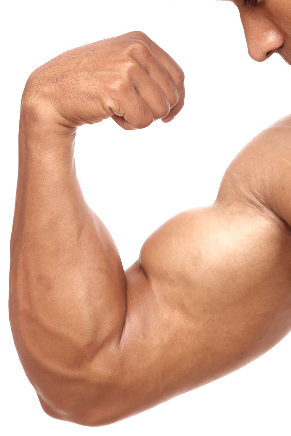 Prótesis de Bíceps en Hombres - natural y duradero